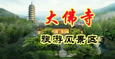双飞机老师的屁眼中国浙江-新昌大佛寺旅游风景区